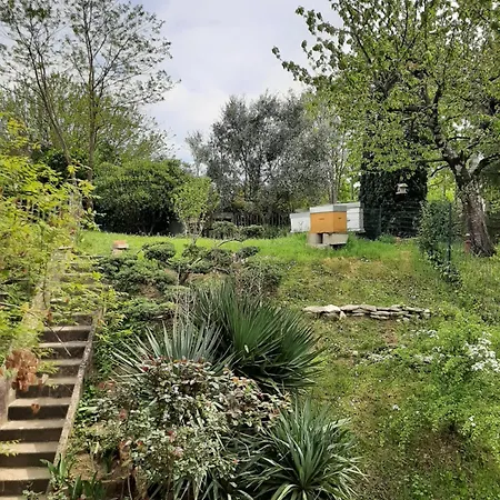 Maison Centre Ville, 3Ch, Parking, Jardin, Calme Toulouse